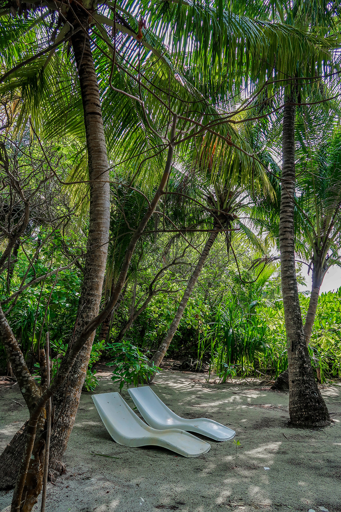 Джунгли острова Омаду на Мальдивах