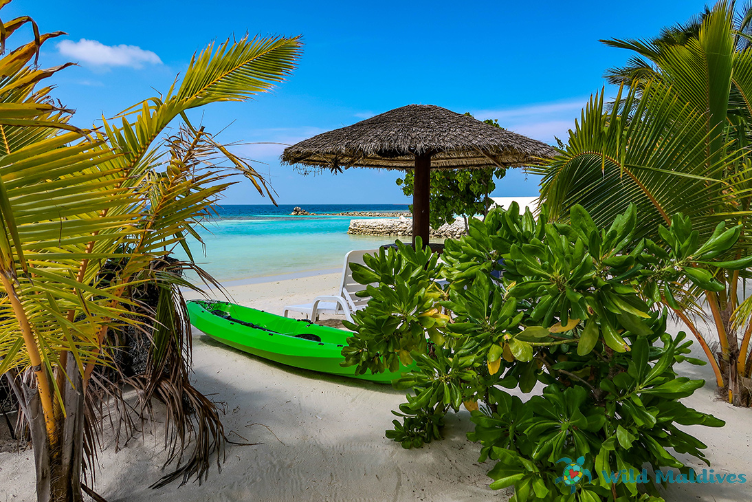 Отель Lagoon View, остров Бодуфолуду, Дикие Мальдивы