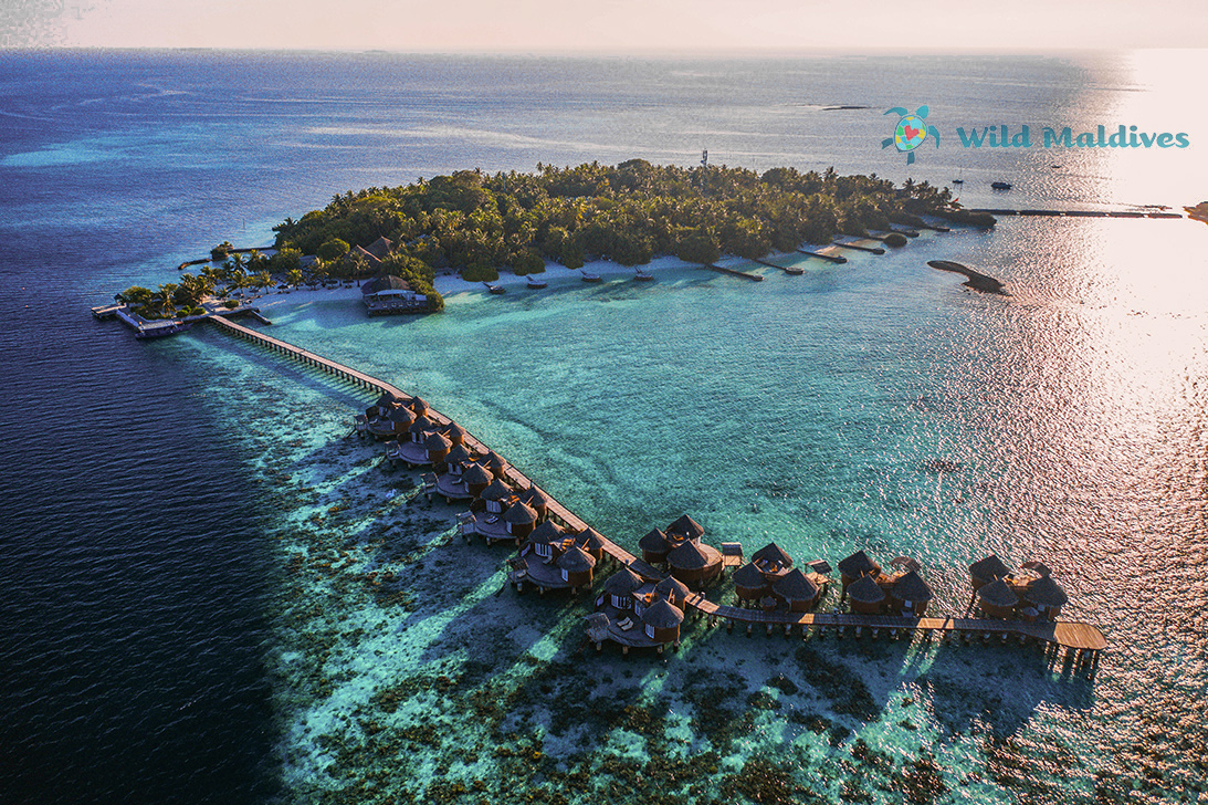 Отель Nika Island Resort, Мальдивы